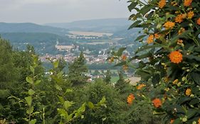 Panoramahotel & Restaurant Am Marienturm